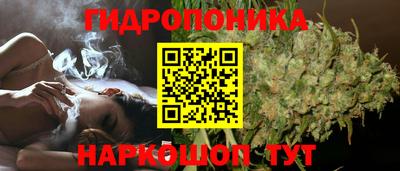 прущие грибы Мариинск